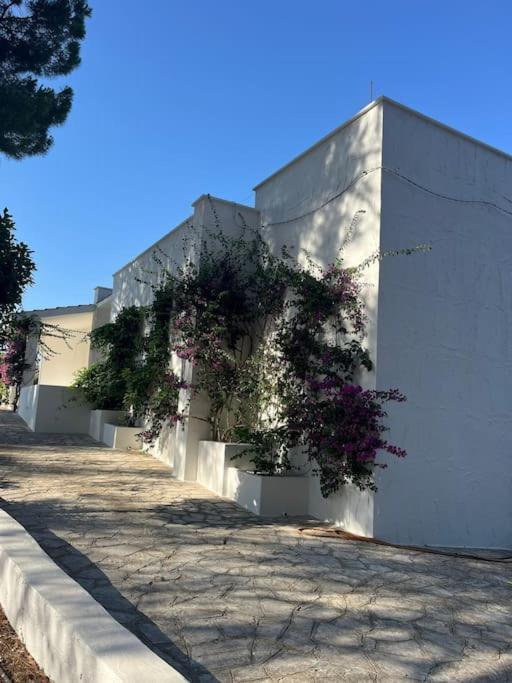 Villa Bouganville 2 Ostuni Ngoại thất bức ảnh