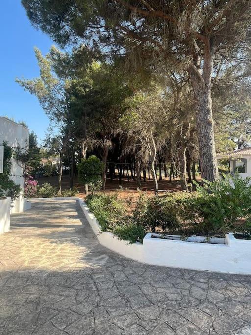 Villa Bouganville 2 Ostuni Ngoại thất bức ảnh